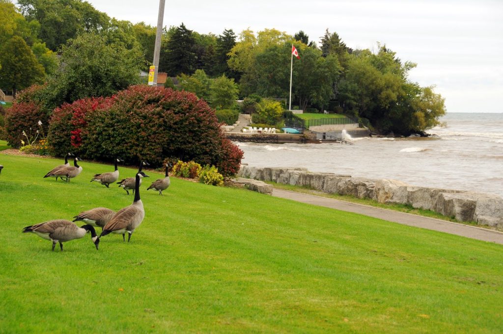 Elizabeth Gardens community real estate burlington