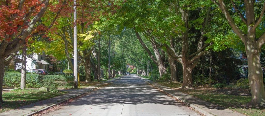 Roseland-Burlington-Real-Estate